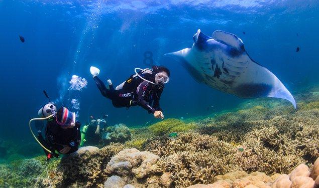 春运期间临沂地区增开9.5对旅客列车